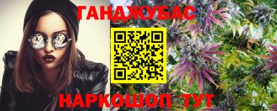 jwh Дубна