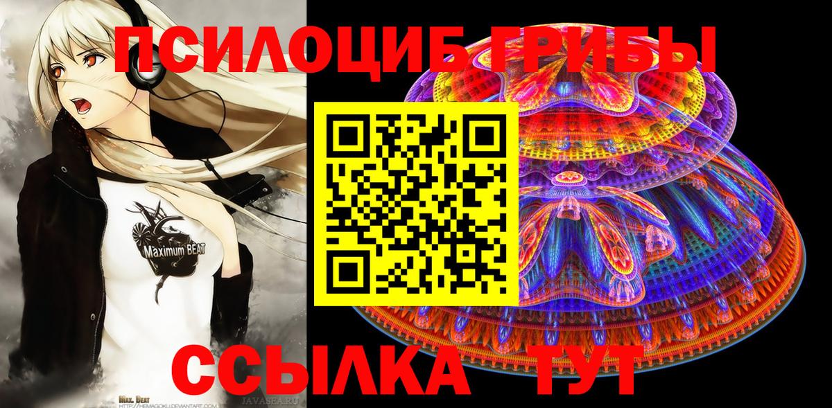 Псилоцибиновые грибы MAGIC MUSHROOMS  где купить наркоту  Зеленогорск  Вход с VPN 