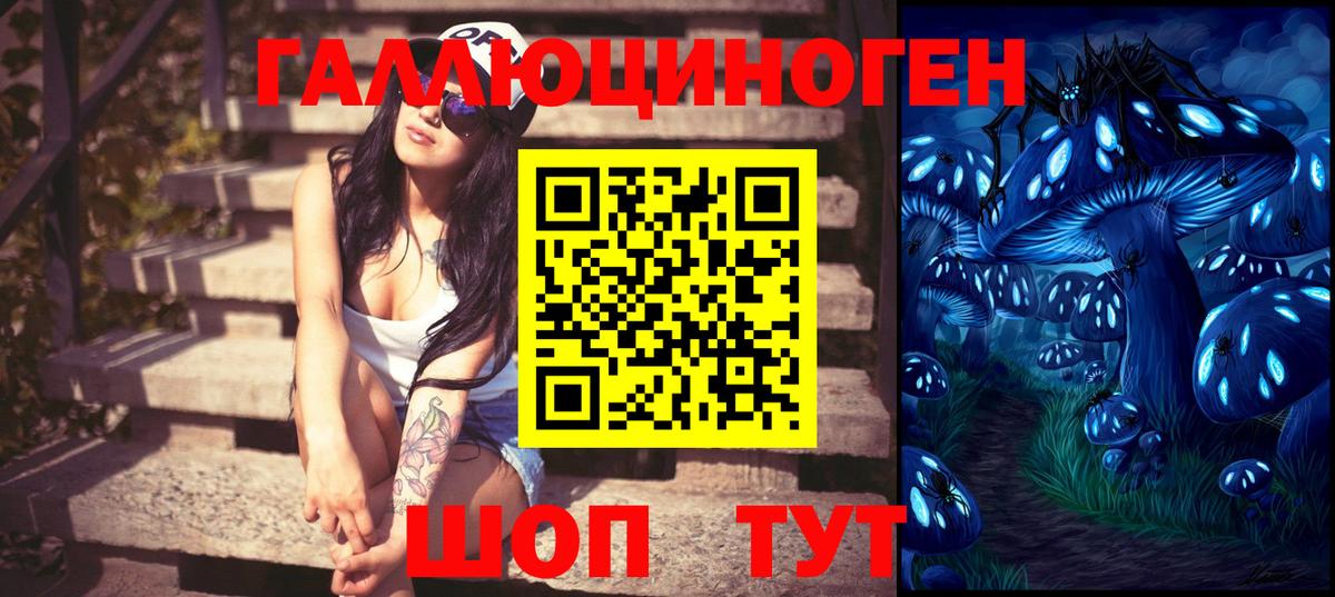 Псилоцибиновые грибы GOLDEN TEACHER Зеленогорск